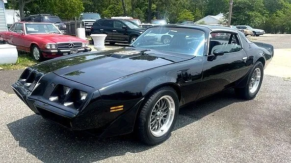 1981 Pontiac Trans Am Special Edition