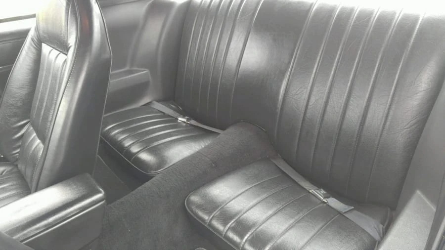 1981 Pontiac Firebird Trans Am 2nd Gen - Image 5 of 12
