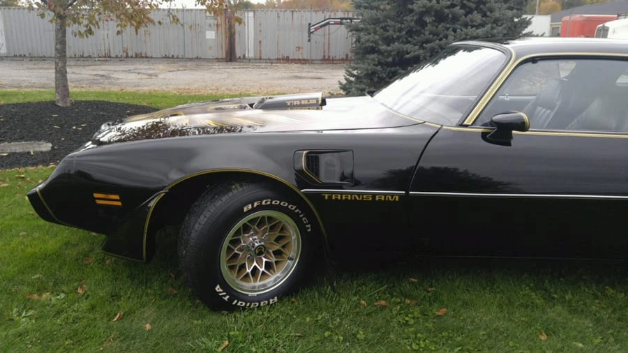 1981 Pontiac Firebird Trans Am 2nd Gen - Image 9 of 12