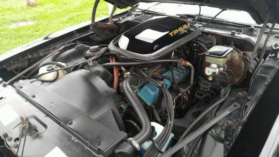 1981 Pontiac Firebird Trans Am 2nd Gen - Image 7 of 12