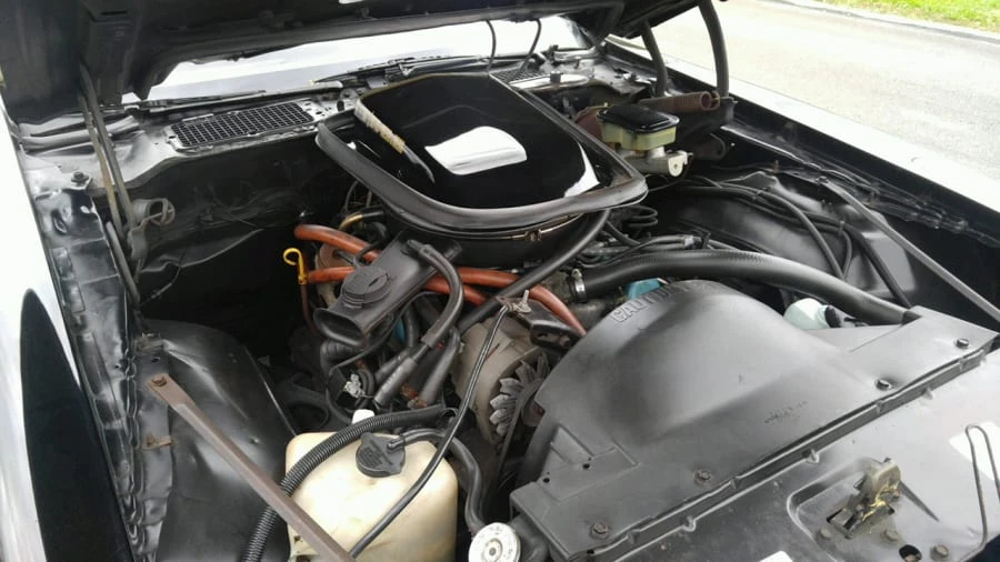 1981 Pontiac Firebird Trans Am 2nd Gen - Image 8 of 12