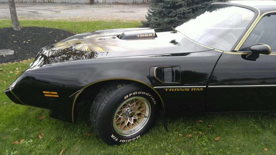 1981 Pontiac Firebird Trans Am 2nd Gen - Image 10 of 12