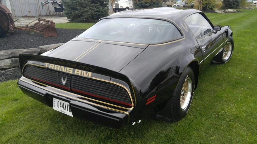 1981 Pontiac Firebird Trans Am 2nd Gen - Image 11 of 12