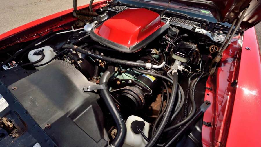 1981 Pontiac Firebird Trans Am 2nd Gen - Image 6 of 30
