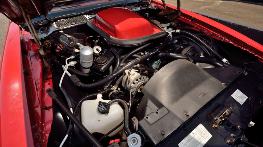 1981 Pontiac Firebird Trans Am 2nd Gen - Image 7 of 30