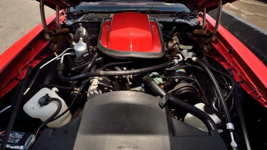 1981 Pontiac Firebird Trans Am 2nd Gen - Image 24 of 30
