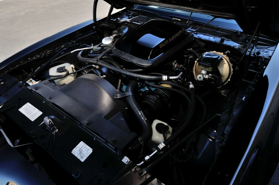 1981 Pontiac Firebird Trans Am 2nd Gen - Image 6 of 12