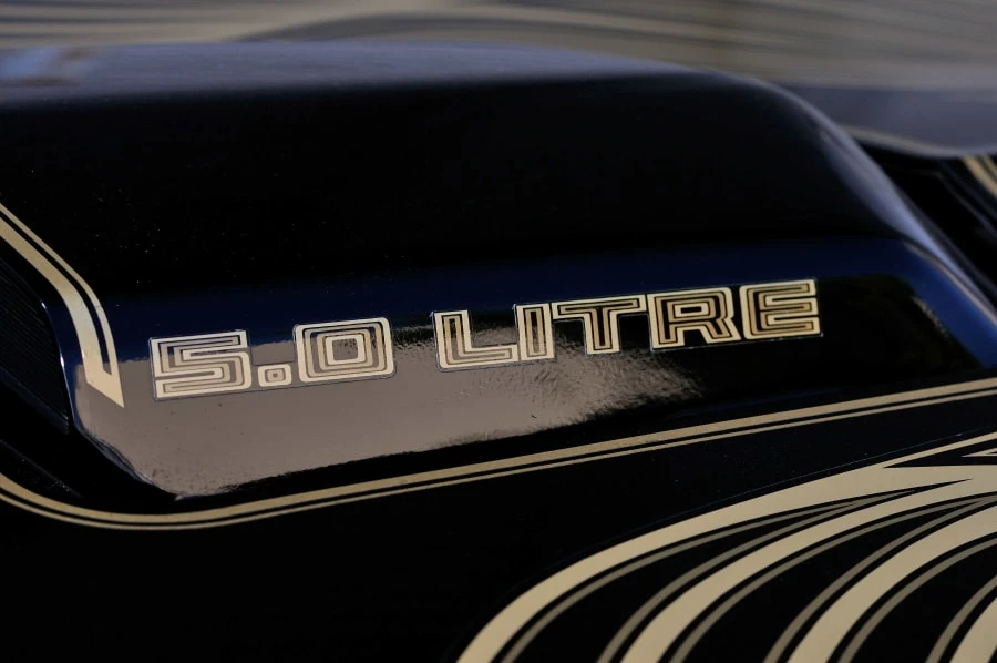 1981 Pontiac Firebird Trans Am 2nd Gen - Image 10 of 12