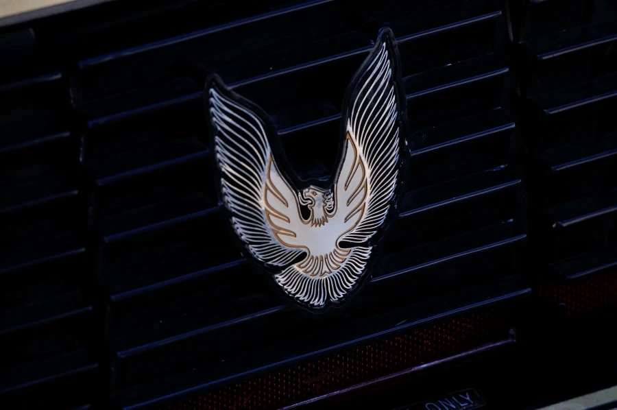 1981 Pontiac Firebird Trans Am 2nd Gen - Image 11 of 12