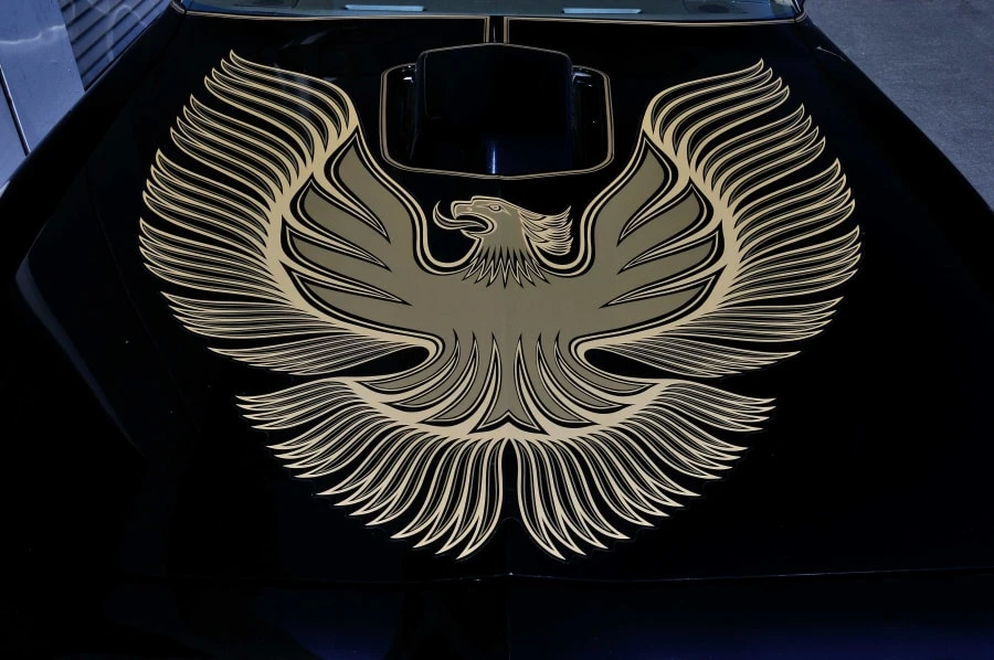 1981 Pontiac Firebird Trans Am 2nd Gen - Image 12 of 12