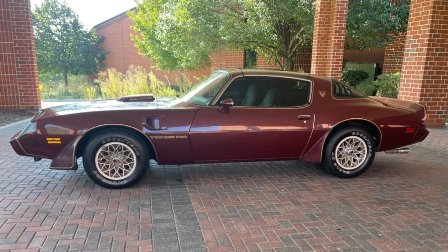 1981 Pontiac Firebird Trans Am 2nd Gen - Image 2 of 17