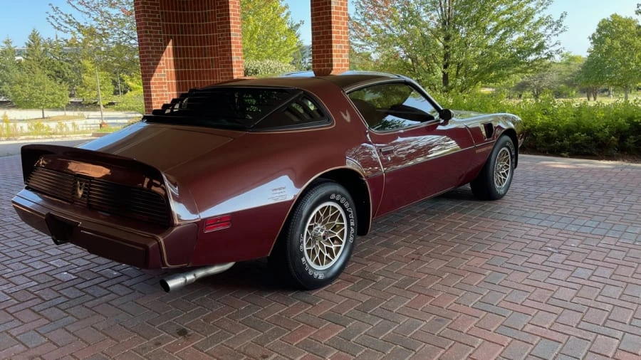 1981 Pontiac Firebird Trans Am 2nd Gen - Image 15 of 17