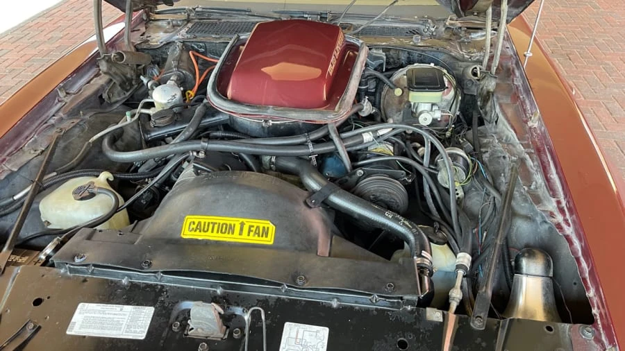 1981 Pontiac Firebird Trans Am 2nd Gen - Image 9 of 17
