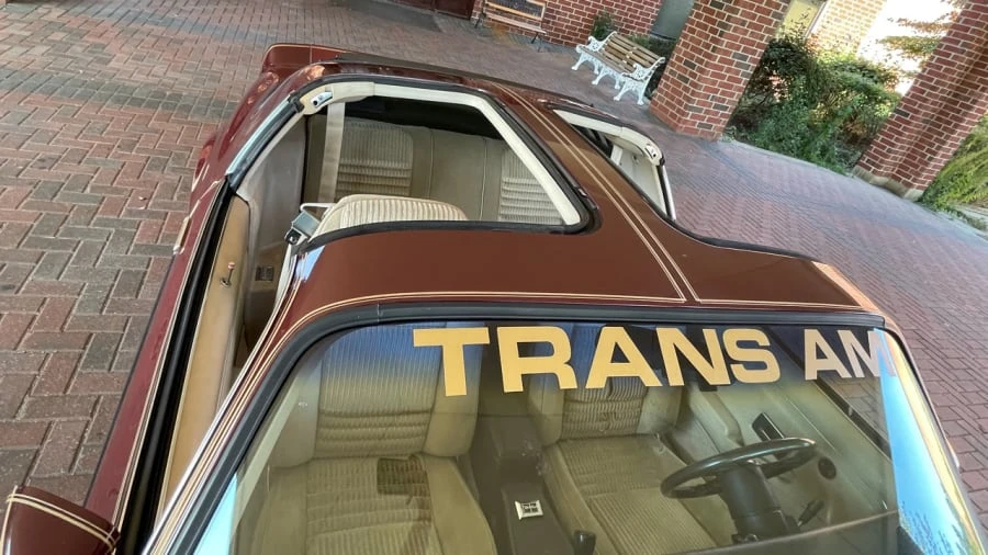 1981 Pontiac Firebird Trans Am 2nd Gen - Image 13 of 17