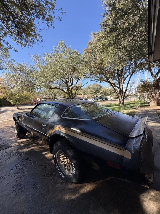 1981 Pontiac Firebird Trans Am 2nd Gen - Image 5 of 20