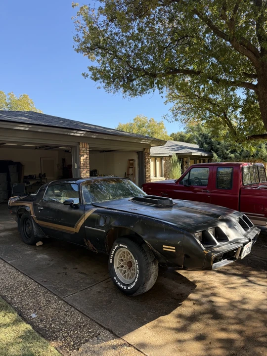 1981 Pontiac Firebird Trans Am 2nd Gen - Image 6 of 20