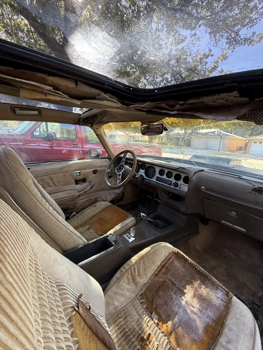 1981 Pontiac Firebird Trans Am 2nd Gen - Image 9 of 20