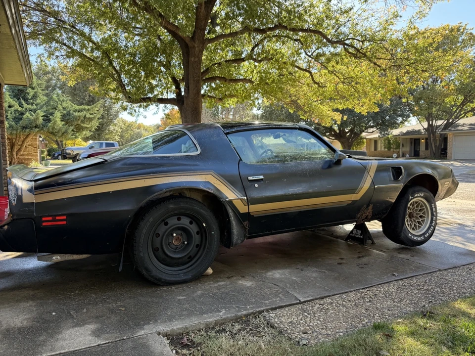 1981 Pontiac Firebird Trans Am 2nd Gen - Image 2 of 20