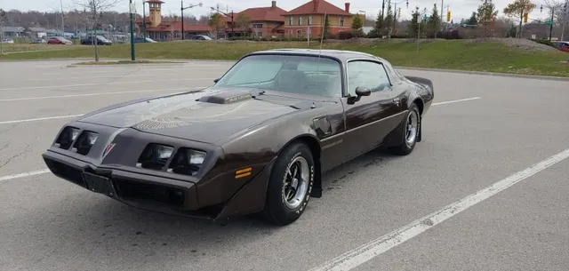 1981 Pontiac Trans Am