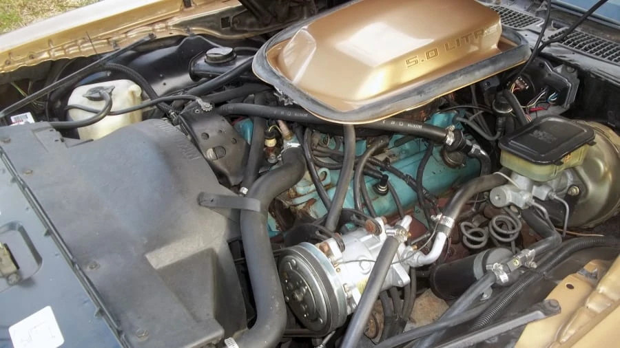 1981 Pontiac Firebird Trans Am 2nd Gen - Image 7 of 7