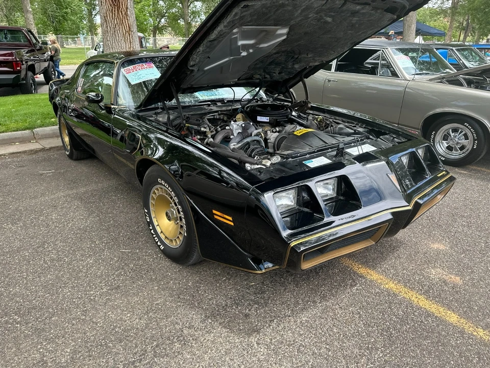 1981 Pontiac Firebird Trans Am 2nd Gen - Image 12 of 21