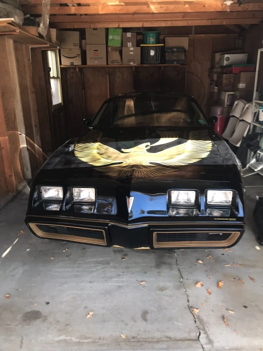 1981 Pontiac Firebird Trans Am 2nd Gen - Image 14 of 21