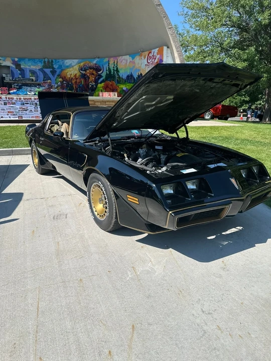 1981 Pontiac Firebird Trans Am 2nd Gen - Image 15 of 21