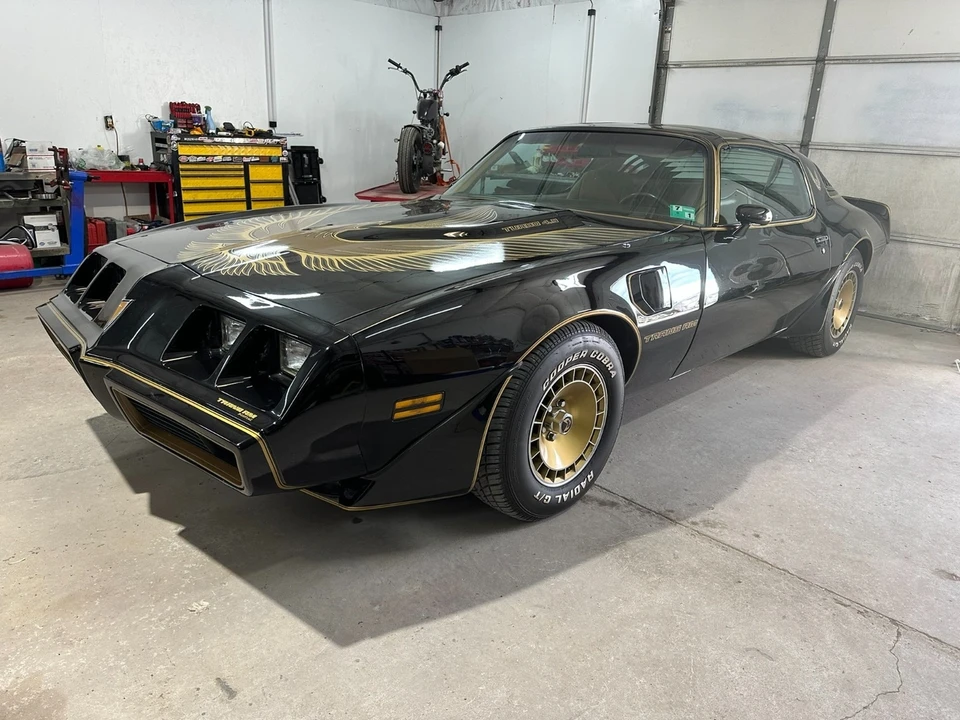 1981 Pontiac Firebird Trans Am 2nd Gen - Image 5 of 21