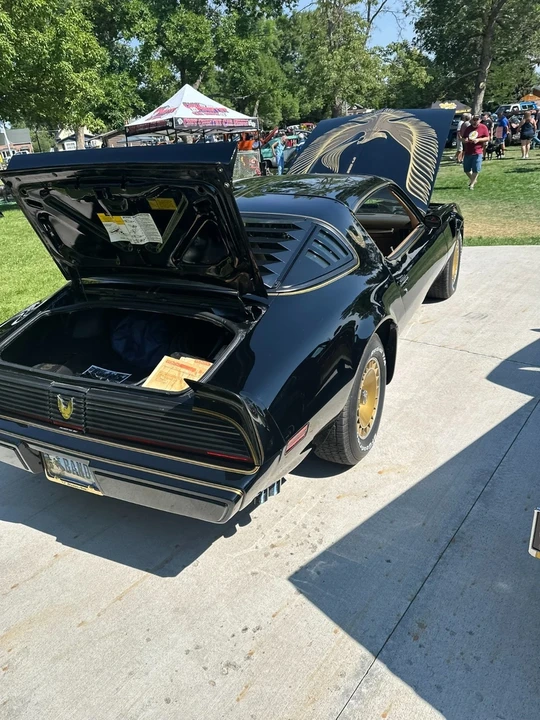 1981 Pontiac Firebird Trans Am 2nd Gen - Image 7 of 21