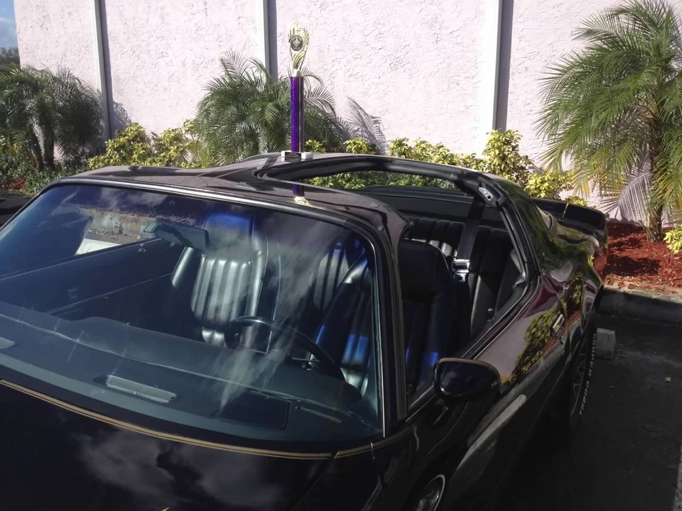 1981 Pontiac Firebird Trans Am 2nd Gen - Image 11 of 21