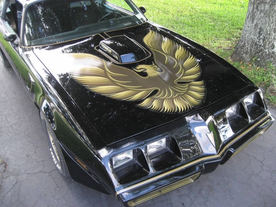 1981 Pontiac Firebird Trans Am 2nd Gen - Image 2 of 21