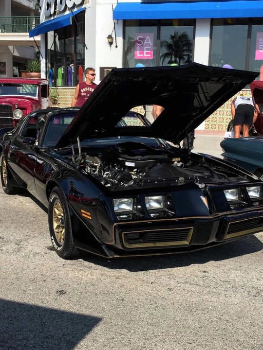 1981 Pontiac Firebird Trans Am 2nd Gen - Image 14 of 21