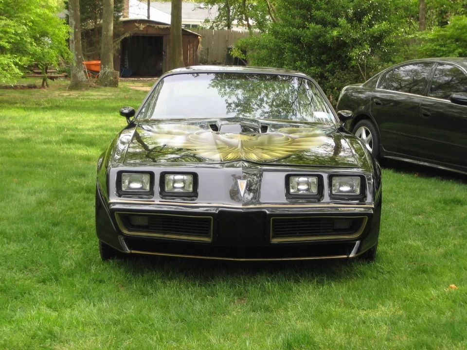 1981 Pontiac Firebird Trans Am 2nd Gen - Image 6 of 21