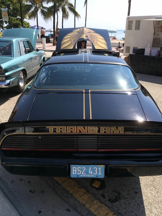 1981 Pontiac Firebird Trans Am 2nd Gen - Image 13 of 21