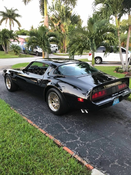 1981 Pontiac Firebird Trans Am 2nd Gen - Image 5 of 21