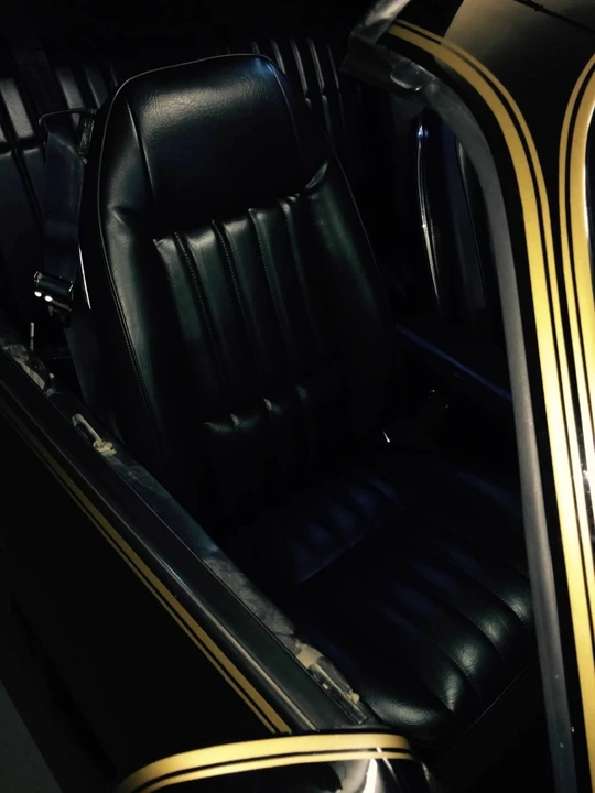 1981 Pontiac Firebird Trans Am 2nd Gen - Image 19 of 21