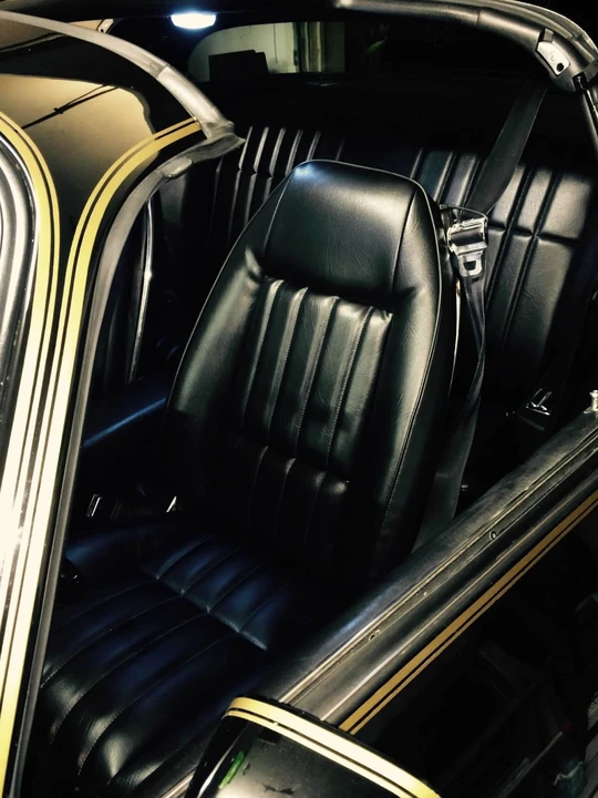 1981 Pontiac Firebird Trans Am 2nd Gen - Image 18 of 21