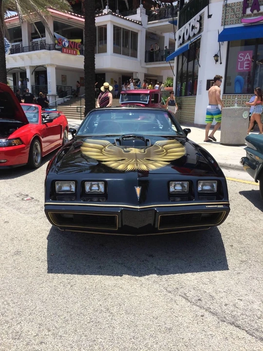 1981 Pontiac Firebird Trans Am 2nd Gen - Image 15 of 21