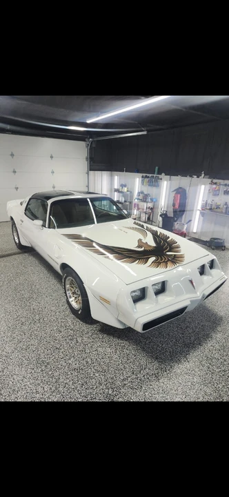 1981 Pontiac Firebird Trans Am 2nd Gen - Image 15 of 21