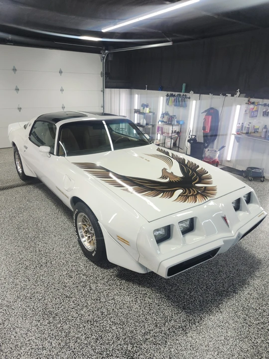 1981 Pontiac Firebird Trans Am 2nd Gen - Image 18 of 21