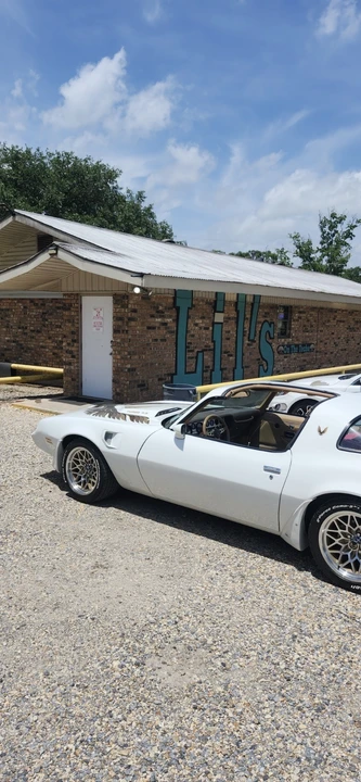 1981 Pontiac Firebird Trans Am 2nd Gen - Image 4 of 21