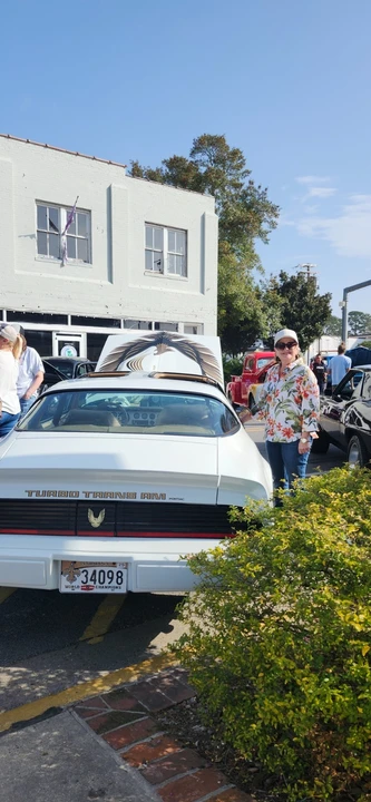 1981 Pontiac Firebird Trans Am 2nd Gen - Image 16 of 21