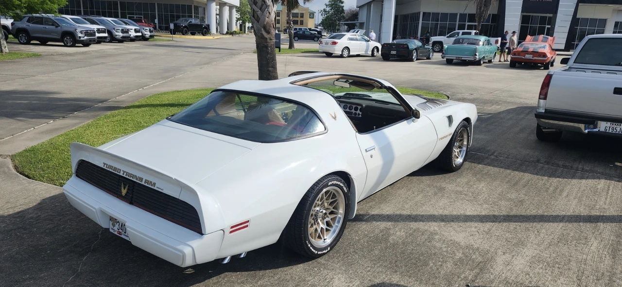 1981 Pontiac Firebird Trans Am 2nd Gen - Image 3 of 21