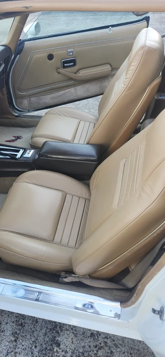 1981 Pontiac Firebird Trans Am 2nd Gen - Image 6 of 21