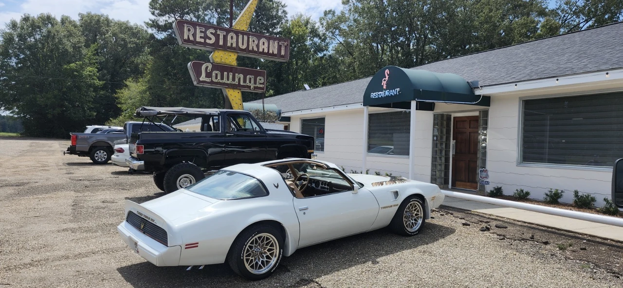 1981 Pontiac Firebird Trans Am 2nd Gen - Image 2 of 21