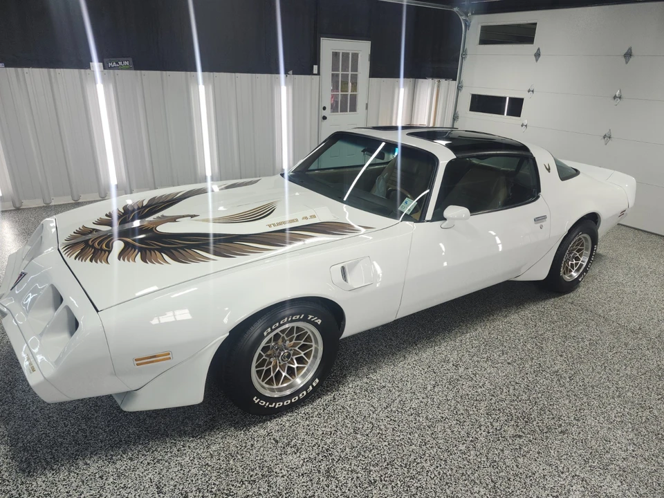 1981 Pontiac Firebird Trans Am 2nd Gen - Image 17 of 21