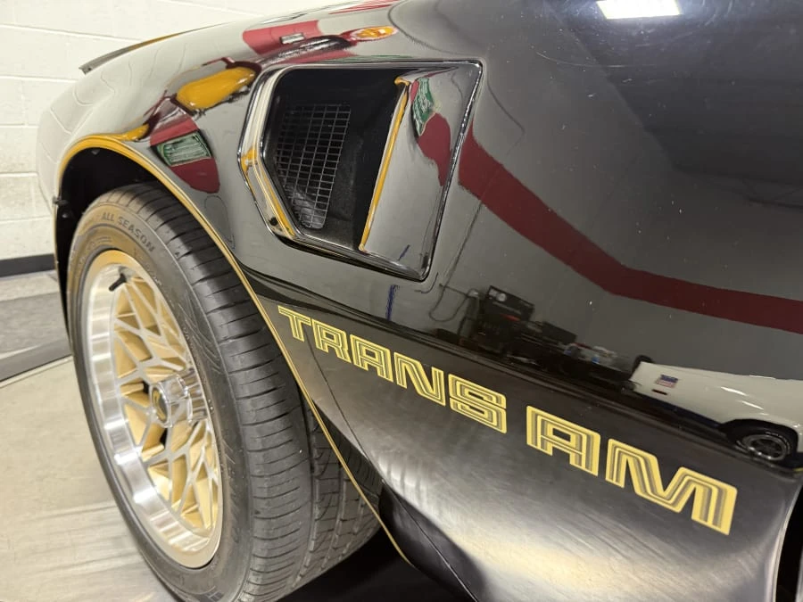1981 Pontiac Firebird Trans Am 2nd Gen - Image 26 of 31