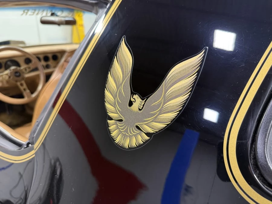 1981 Pontiac Firebird Trans Am 2nd Gen - Image 25 of 31