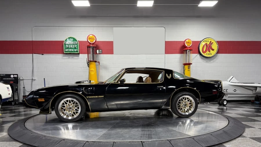 1981 Pontiac Firebird Trans Am 2nd Gen - Image 4 of 31