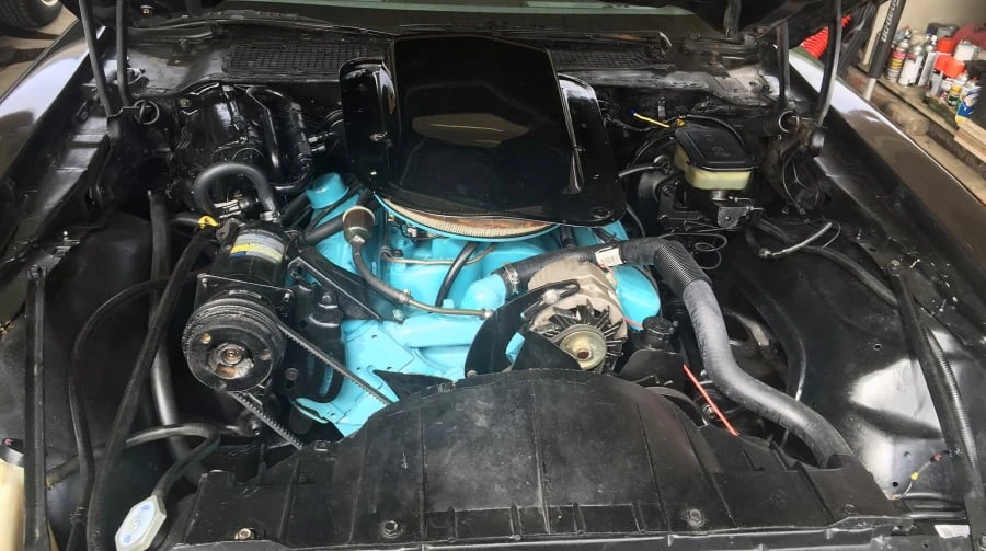1981 Pontiac Firebird Trans Am 2nd Gen - Image 5 of 6
